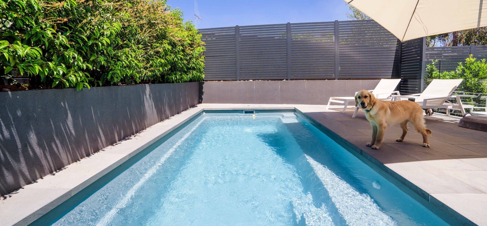 Fiberglass pools in Saratoga Springs, NY by Spring Water Pools are pet friendly