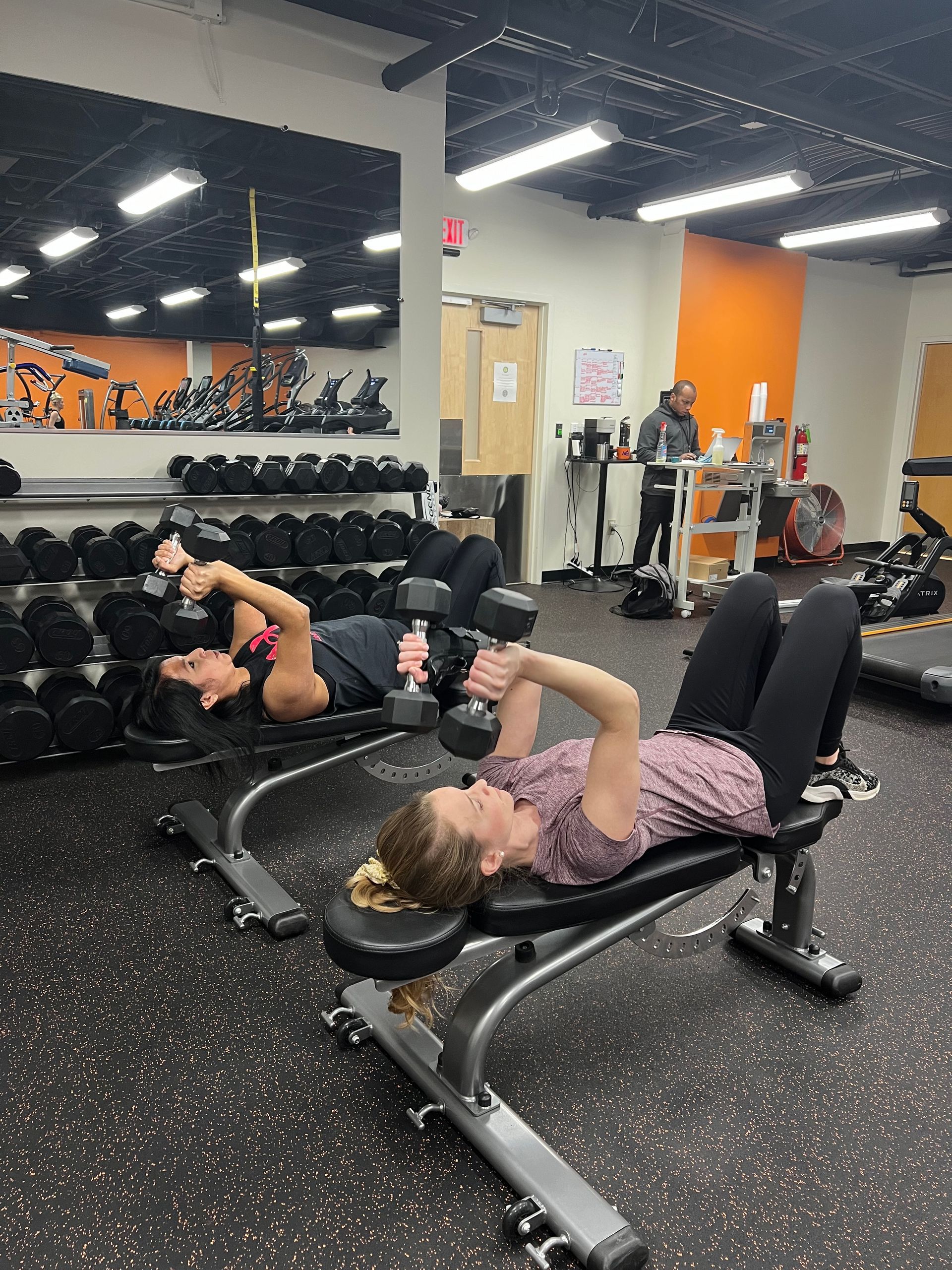 Two women are lifting dumbbells on benches in a gym.