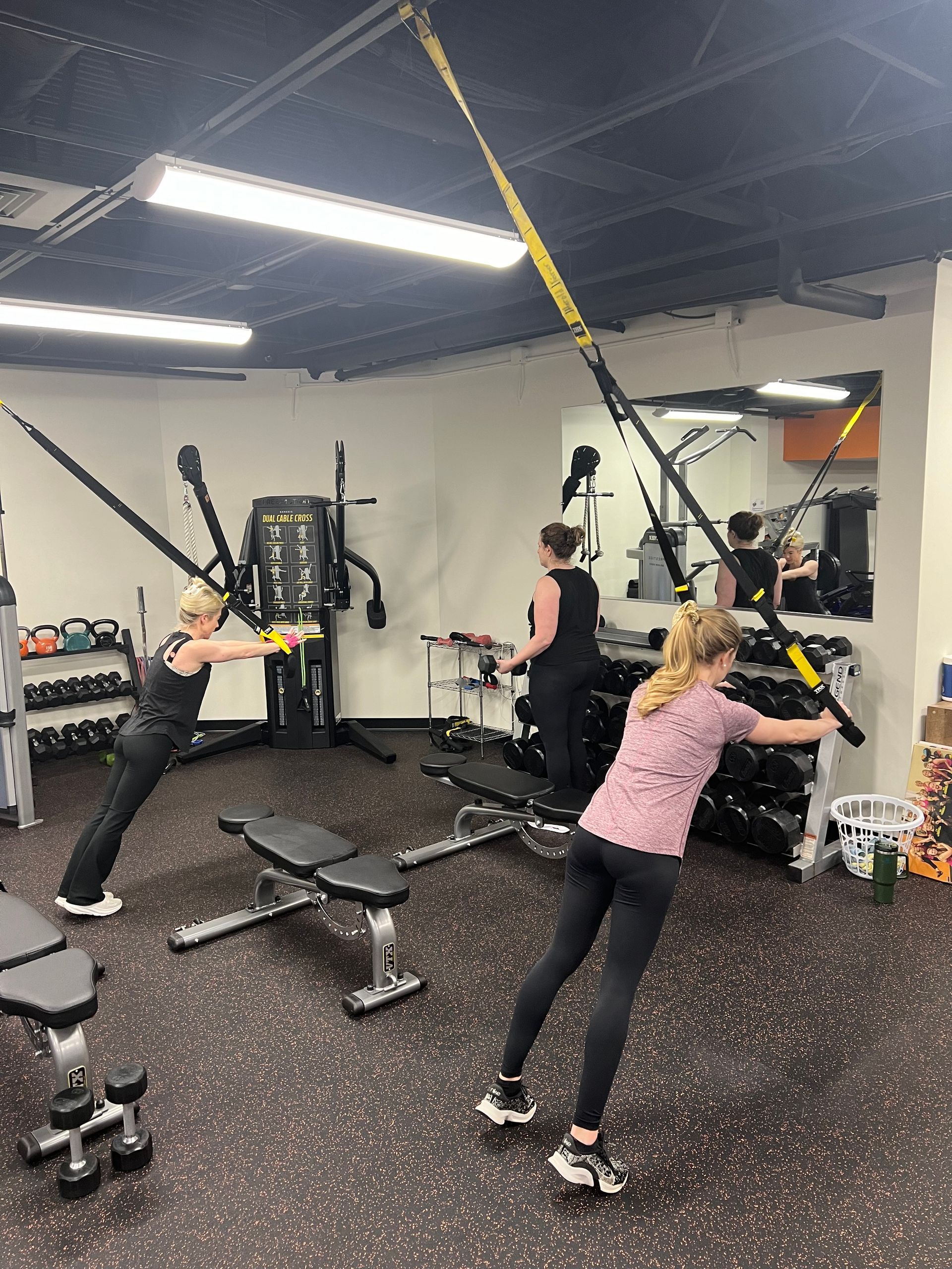 A group of people are doing trx exercises in a gym.