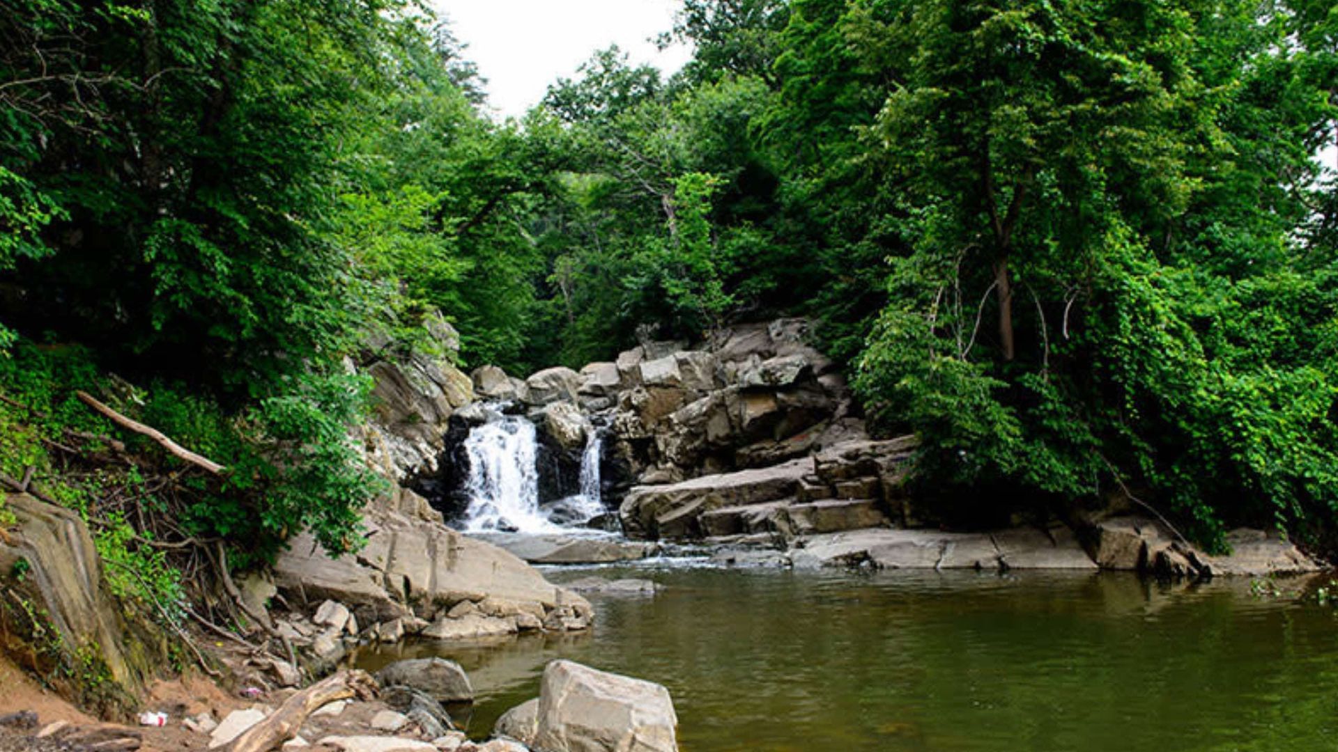 Waterfall cascading over rocks into a calm pool, surrounded by green trees and foliage.