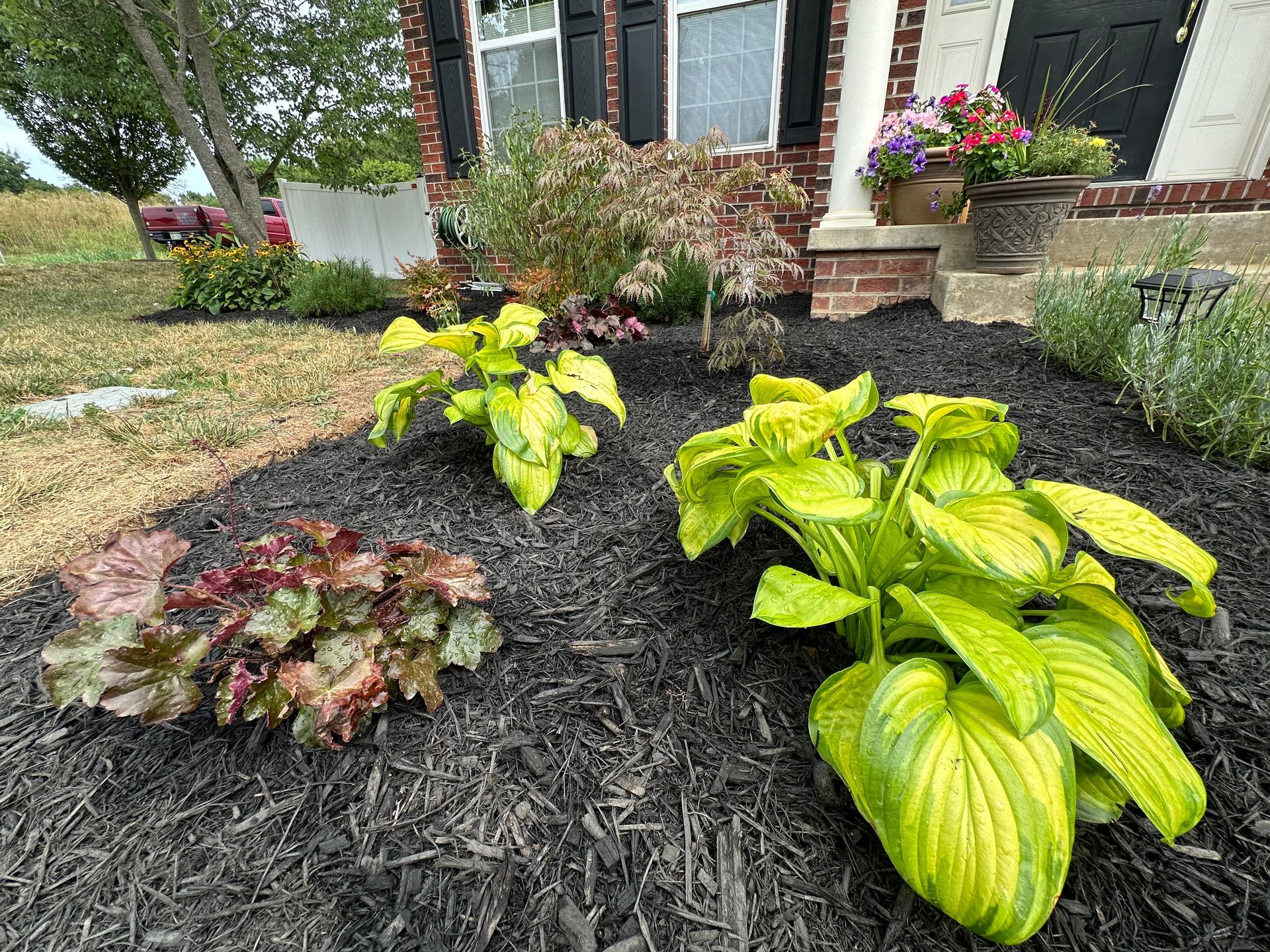 A garden with lots of plants and mulch in front of a house.