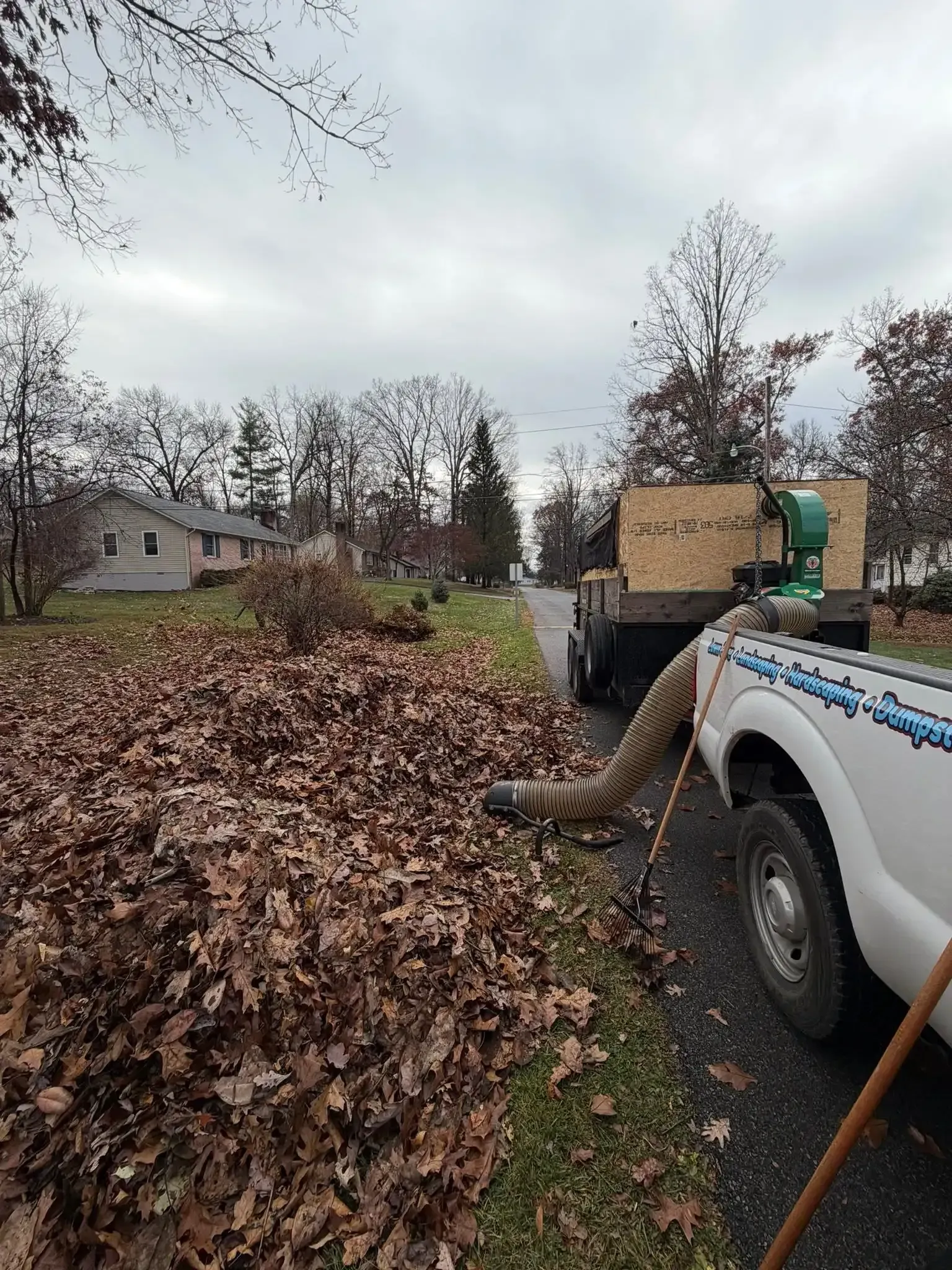 A truck hauls a large pile of fallen leaves in a yard on an overcast day. A truck hauls a large pile of fallen leaves in a yard on an overcast day.