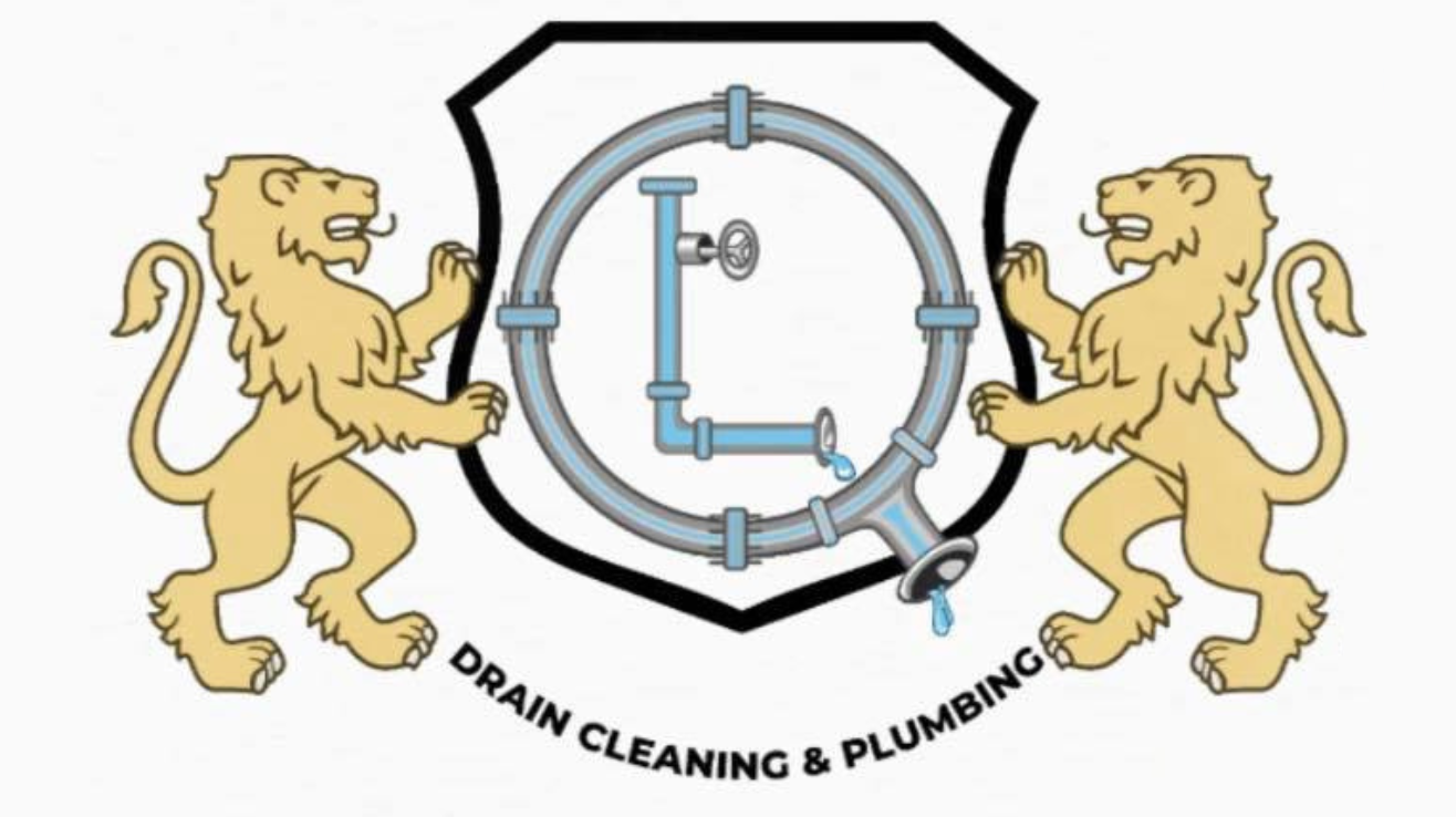 QL Drain Cleaning & Plumbing LLC