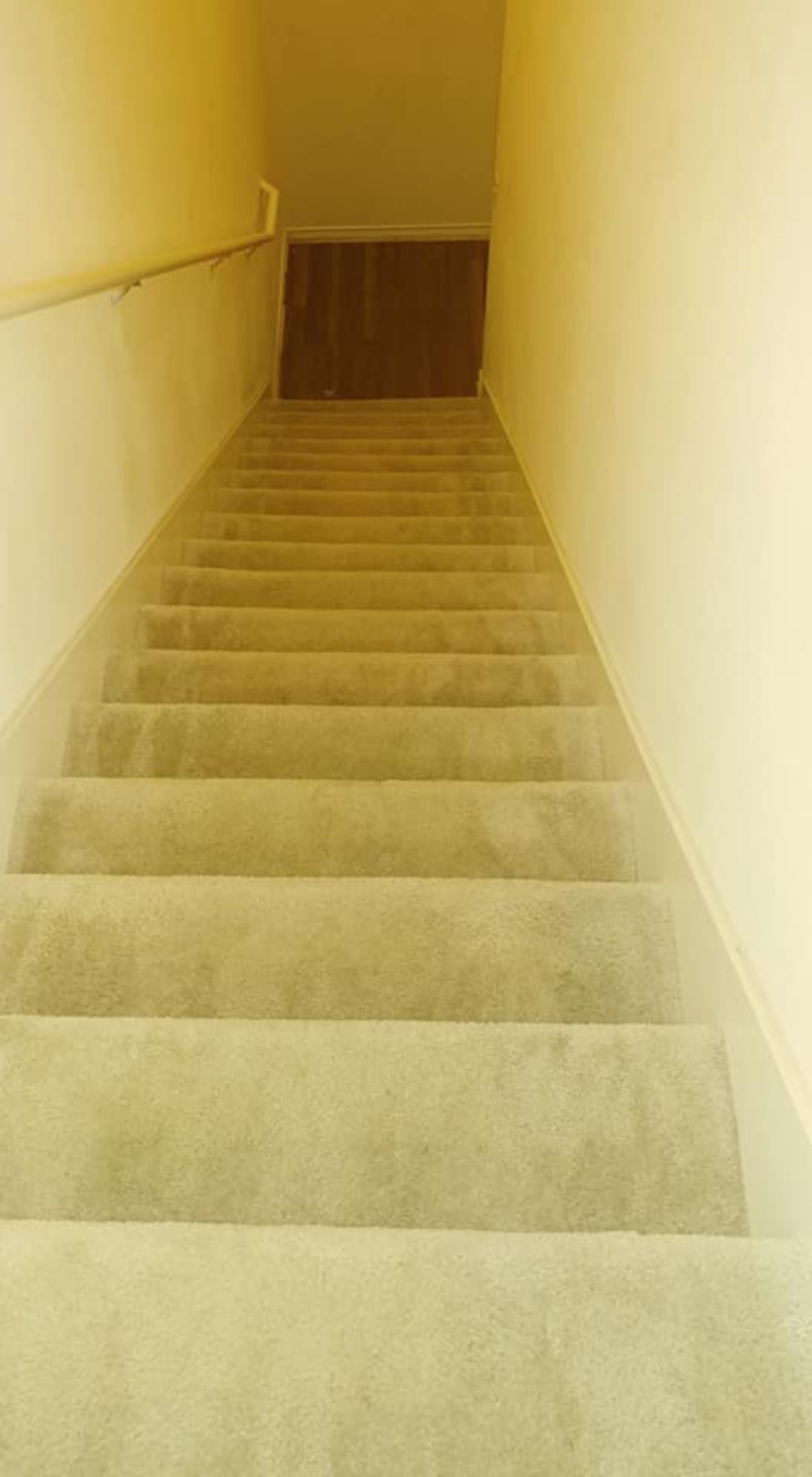 Clean carpet on stairs