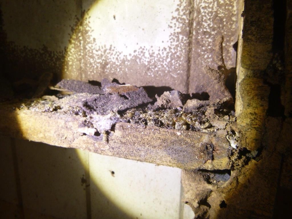 Pest Control Townsville Termites Gone