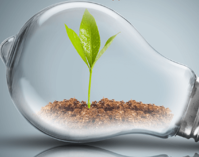 Plant Inside a Light Bulb — Austin, TX — LumenServe Inc. Plant Inside a Light Bulb — Austin, TX — LumenServe Inc.