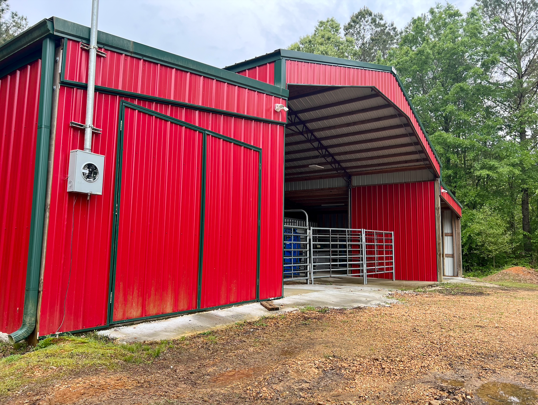 Vet Clinic in Pontotoc, MS