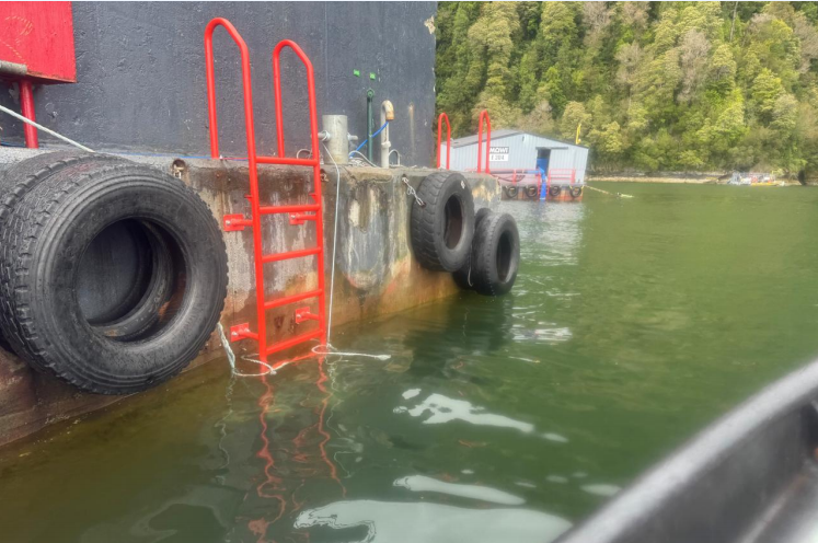 Una escalera roja está unida al costado de un bote en el agua.