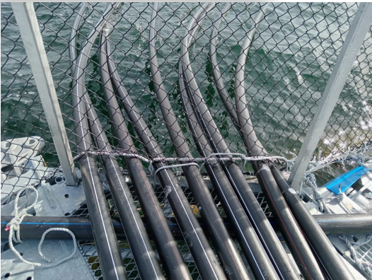 Un montón de tuberías están conectadas a una cerca de alambre de cadena.