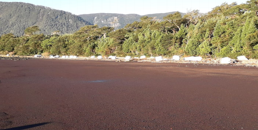 Un gran campo con árboles al fondo y montañas al fondo.