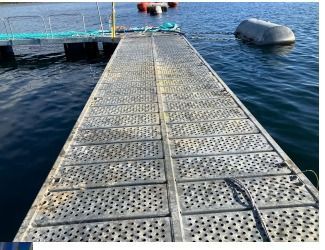 Un muelle en medio de un cuerpo de agua.