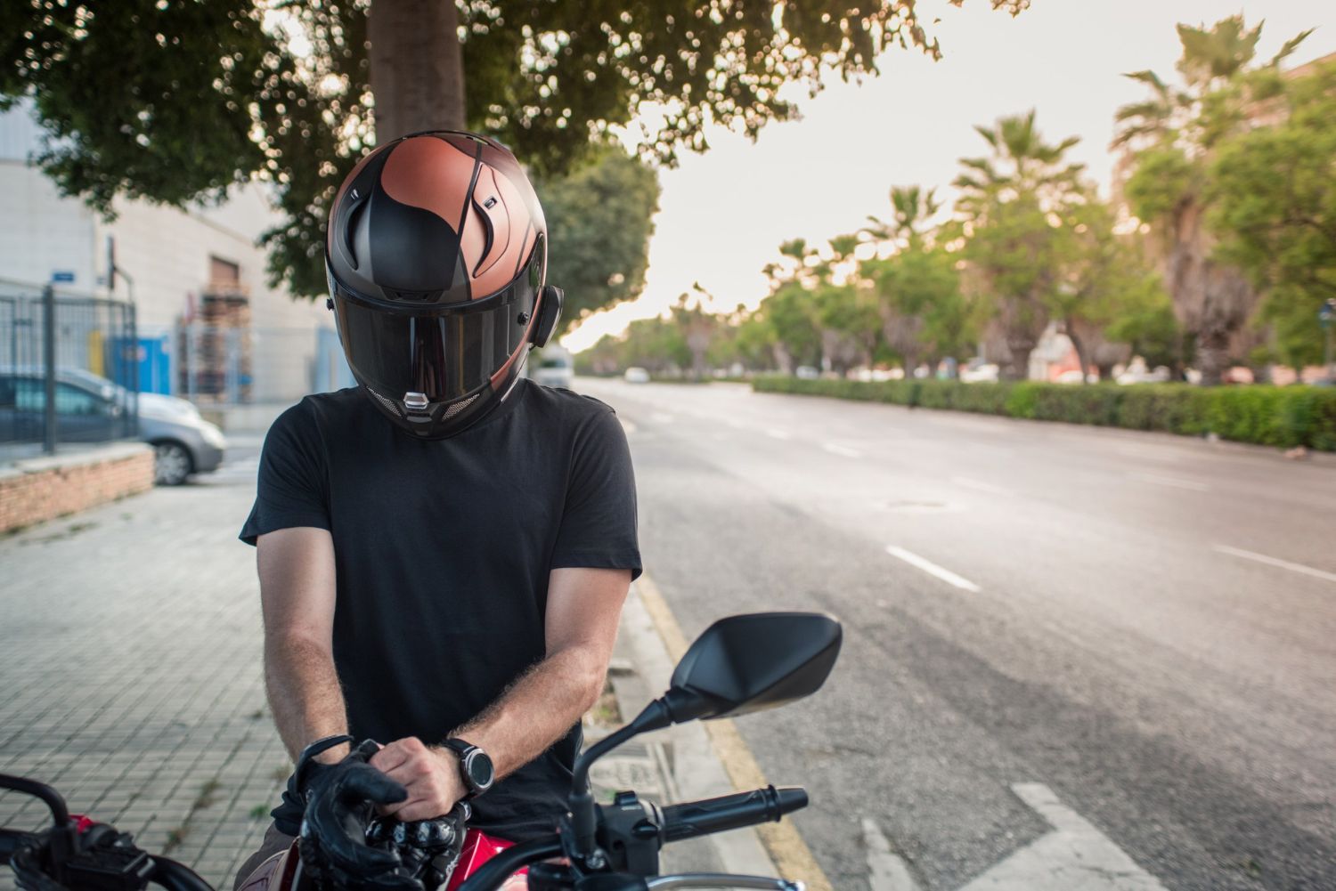 Person in motorcycle helmet sits on bike next to road with trees, dusk.