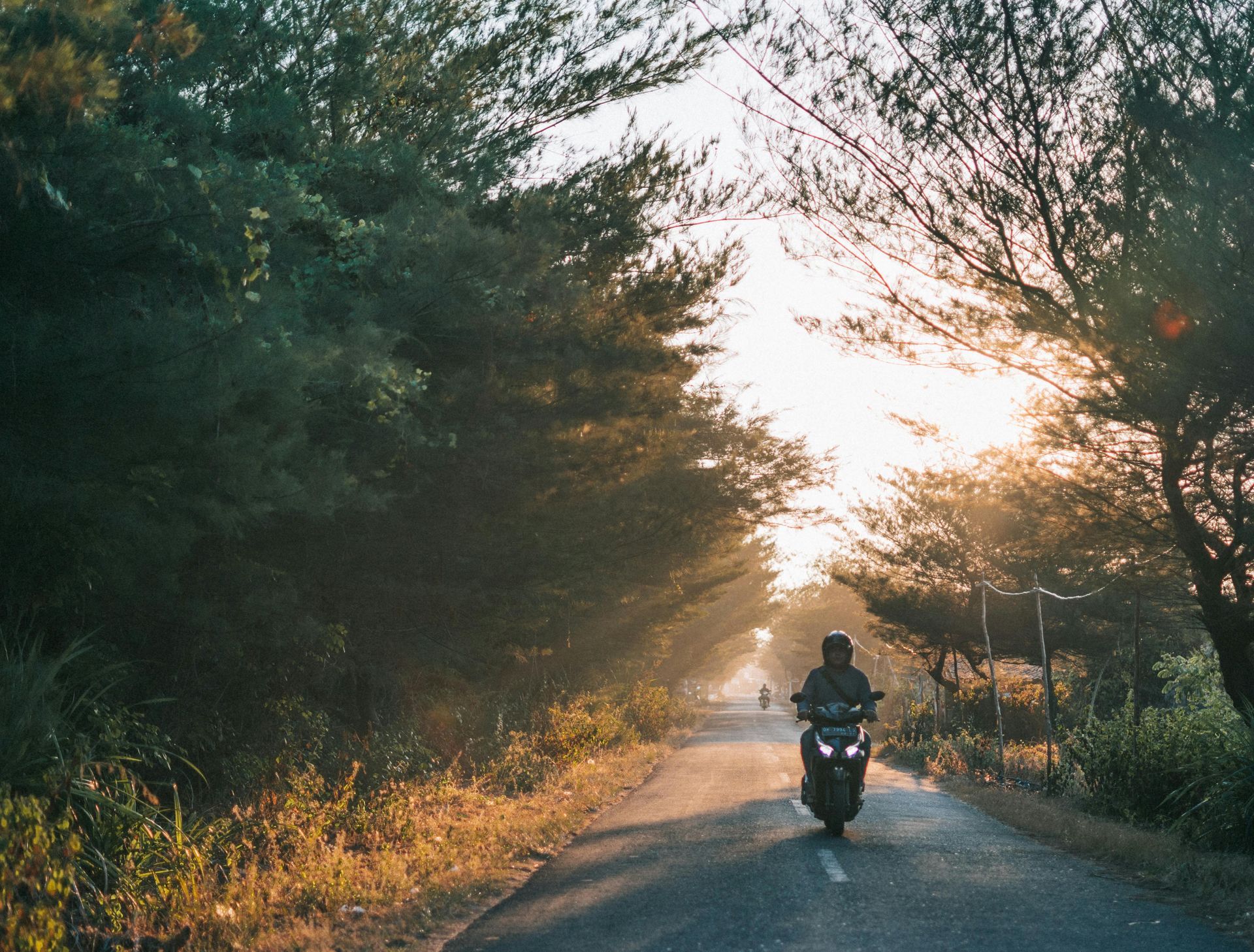 Motorcyclist rides down a tree-lined road towards the sunrise.