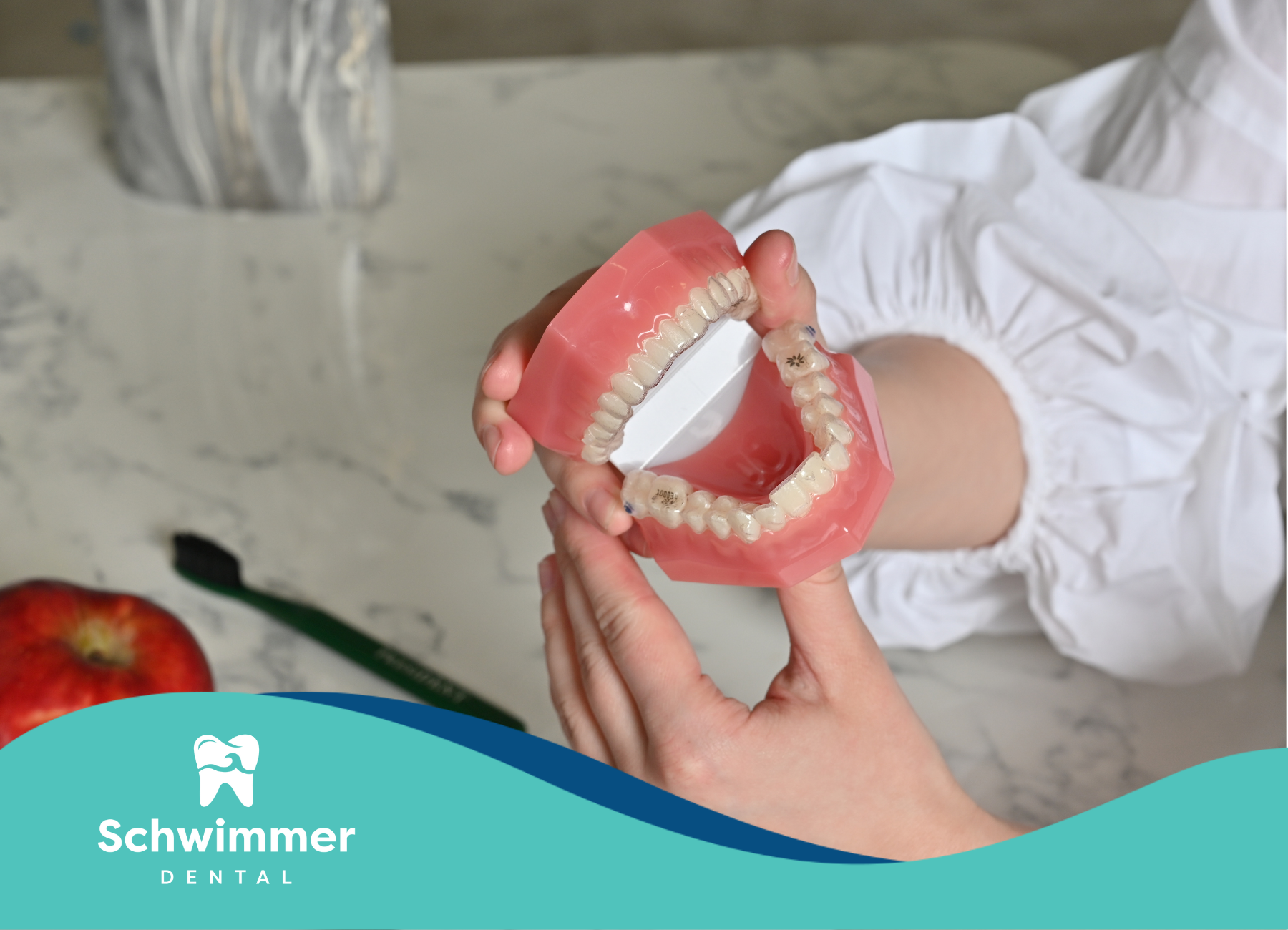 A person is holding a model of teeth in their hands.