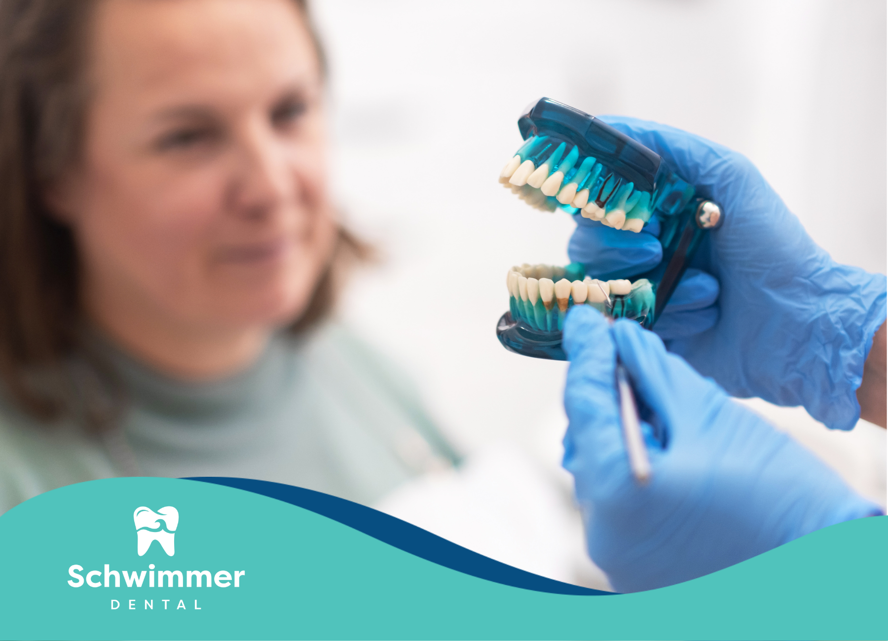 A dentist is holding a model of a person 's teeth in front of a woman.