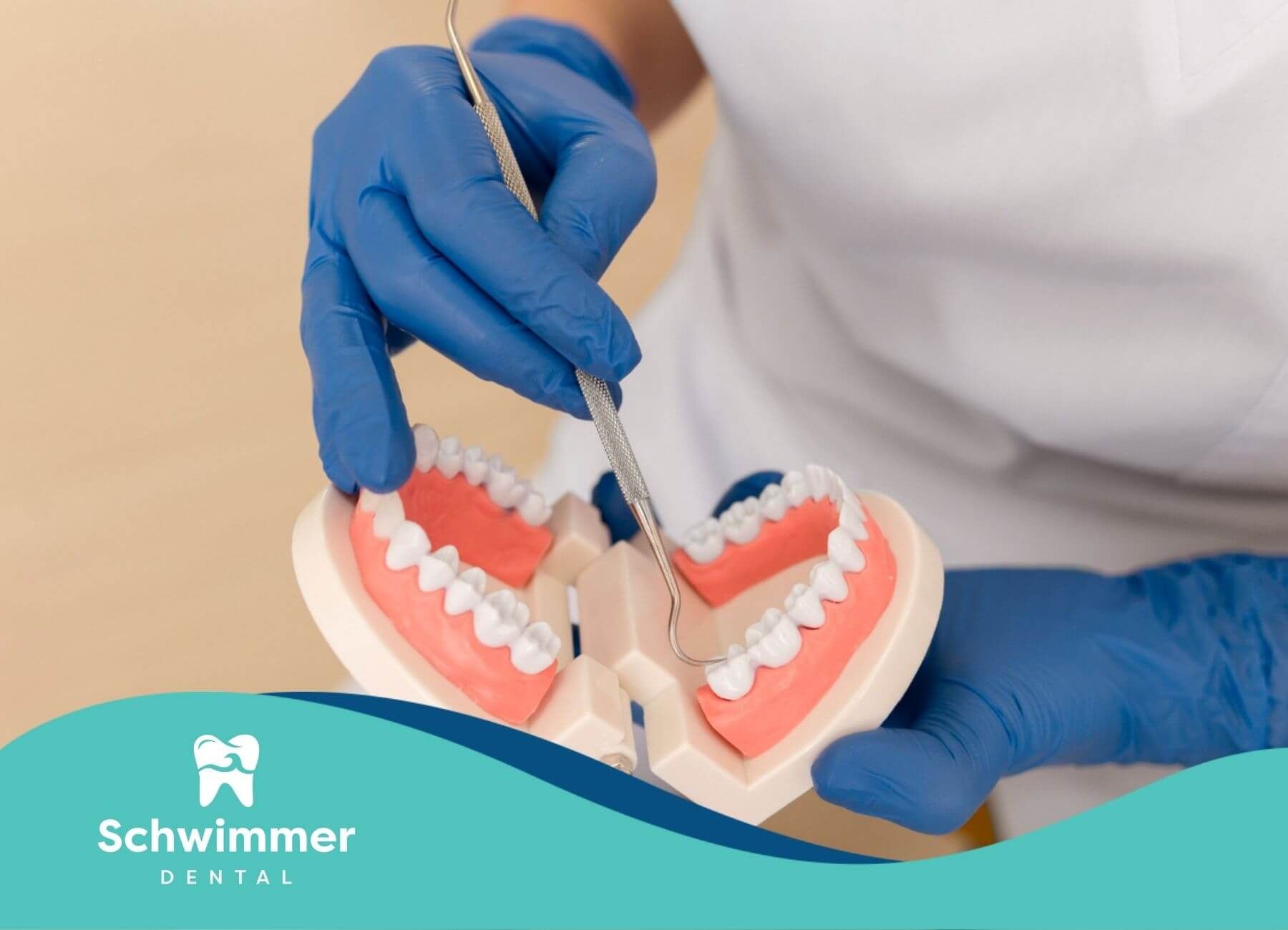 Dentist holding a dental model with a tool.
