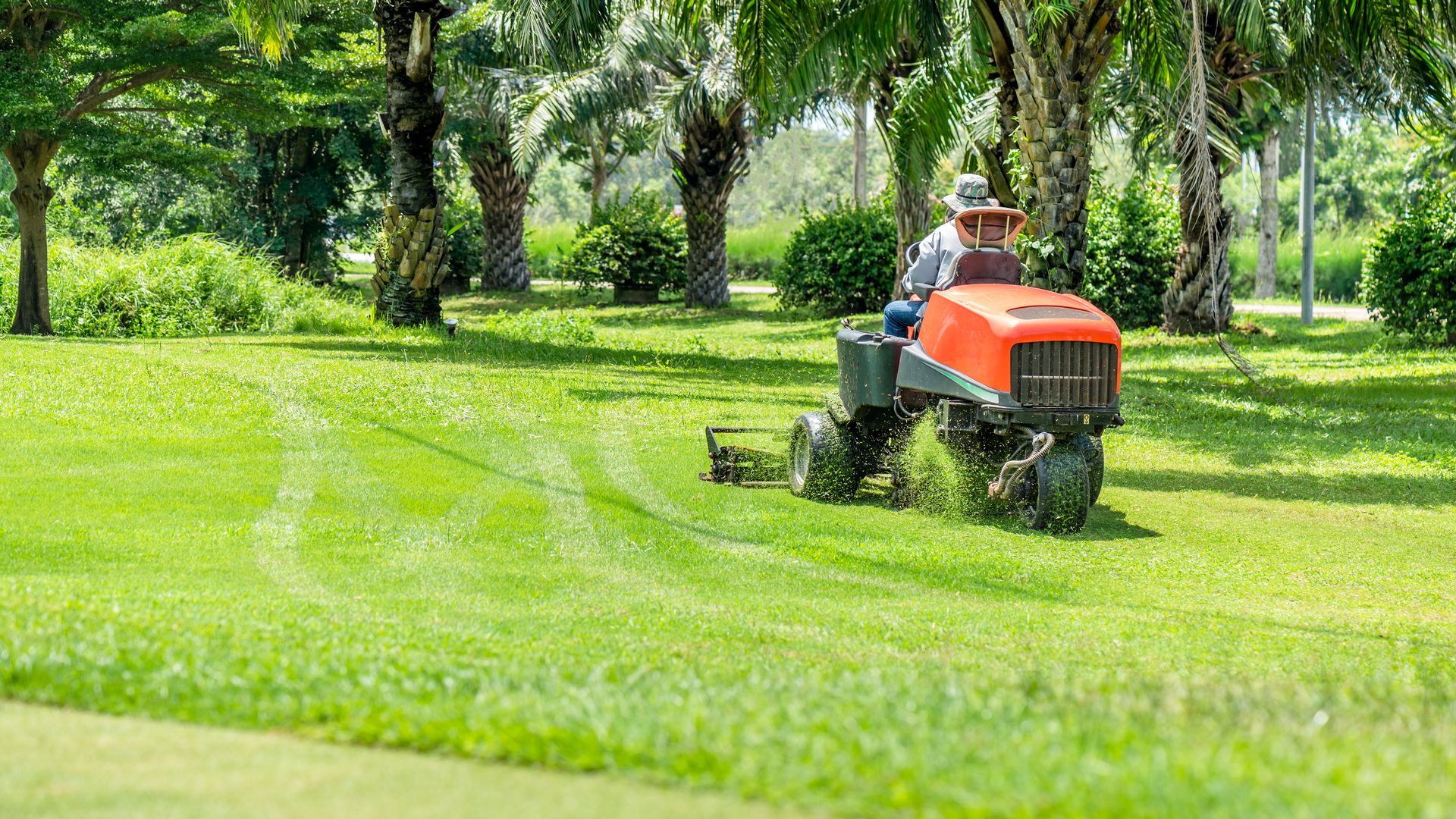 Driving a riding lawn mower in garden
