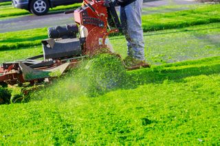Man cutting lawn with using a gasoline mower