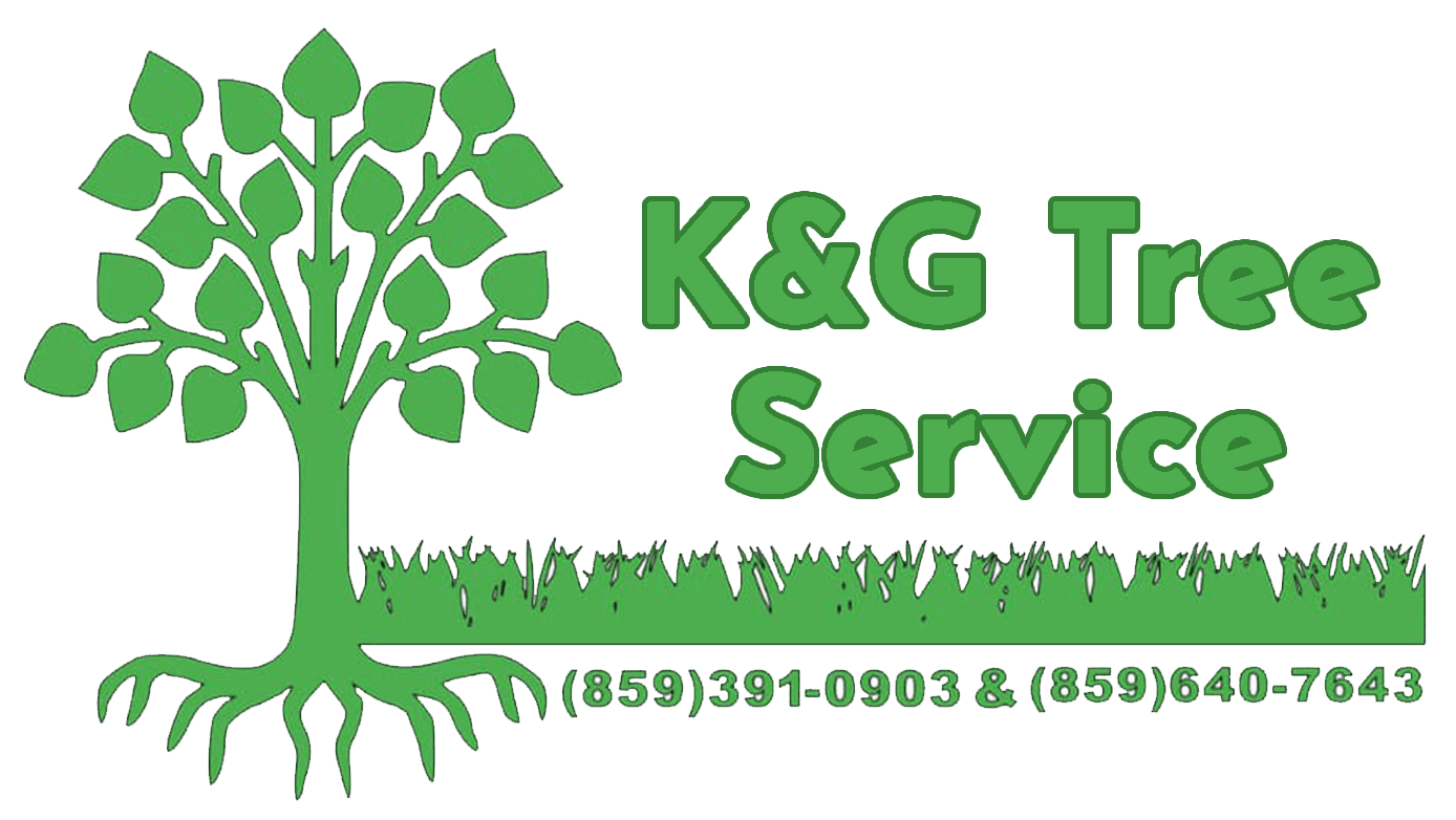 K&G Tree Service