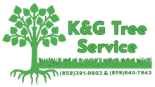 K&G Tree Service
