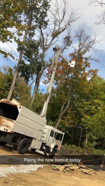 Woodcutter saws tree with chainsaw on sawmill