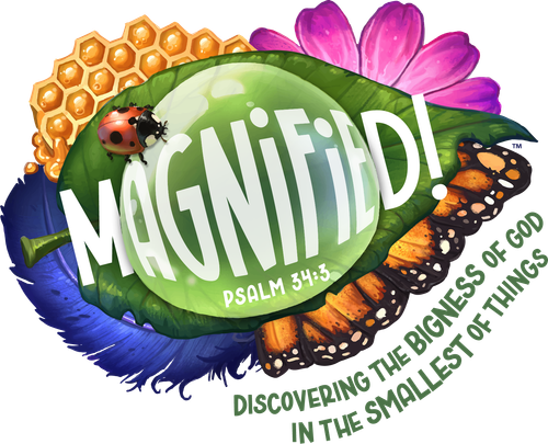 A ladybug sits on a green leaf with the words magnified on it