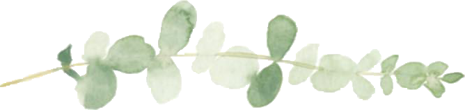 watercolor painted branch with leaves