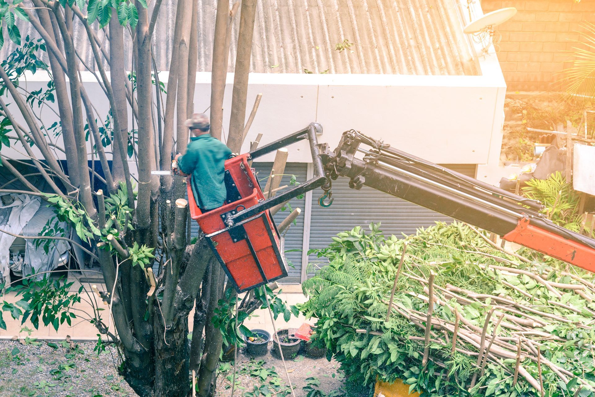 Man in a Lift Bucket Pruning a Tree — Bennett's Tree Service in Redhead, NSW
