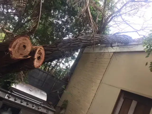A Large Tree Branch Lies Across the Corner of a Building — Bennett's Tree Service in Redhead, NSW