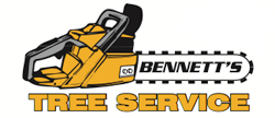 Bennett’s Tree Service: Qualified Arborist in Newcastle