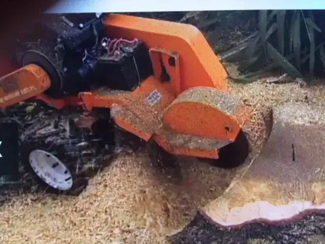 Orange Stump Grinder Grinding a Tree Stump — Bennett's Tree Service in Redhead, NSW
