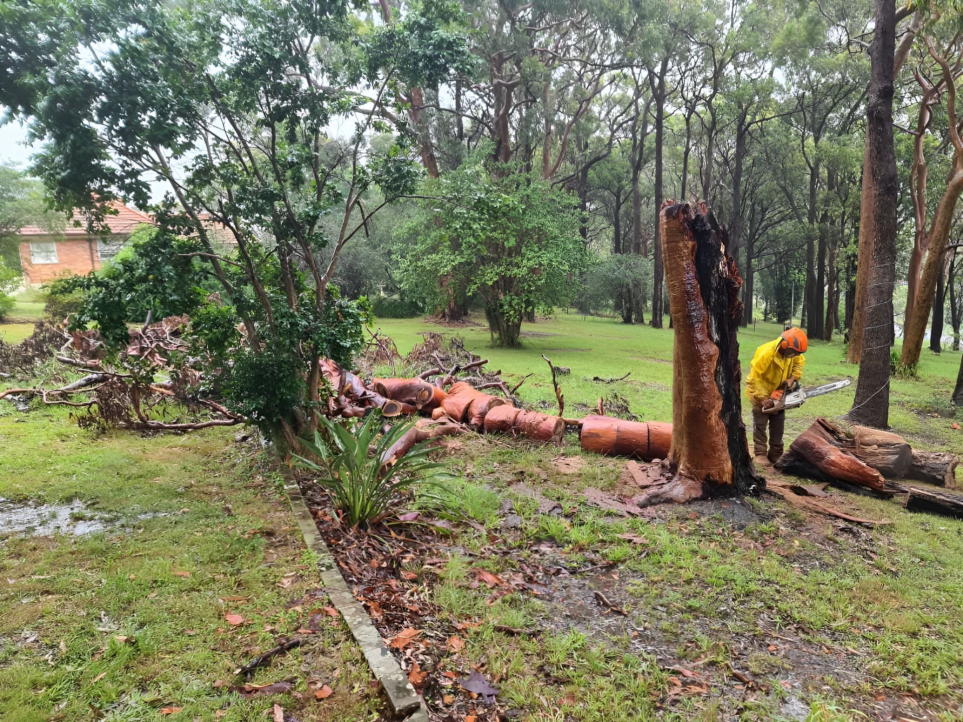 Person in Yellow Jacket Cutting Fallen Tree in a Park — Bennett's Tree Service in Charlestown, NSW