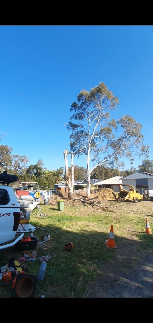 Tree Cutting in Progress Next to House — Bennett's Tree Service in Redhead, NSW