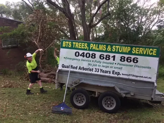 Workers Loading Tree Branches - Arborist in Redhead NSW