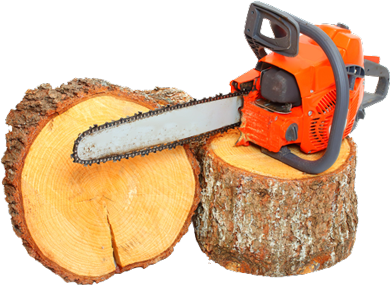 Chainsaw and Tree Log — Arborist in Redhead NSW