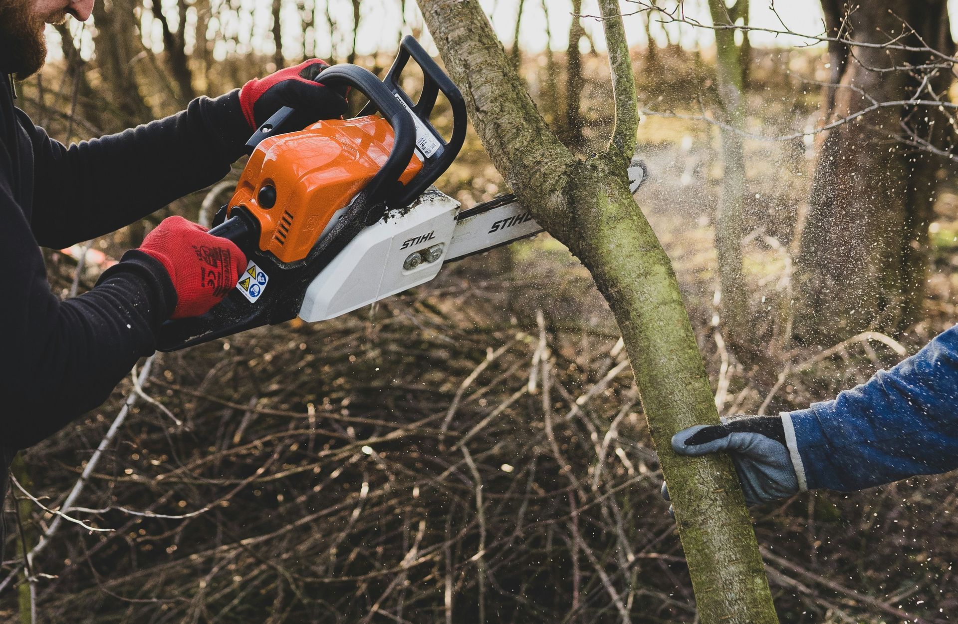 Person Cutting a Tree Branch — Bennett's Tree Service in Redhead, NSW