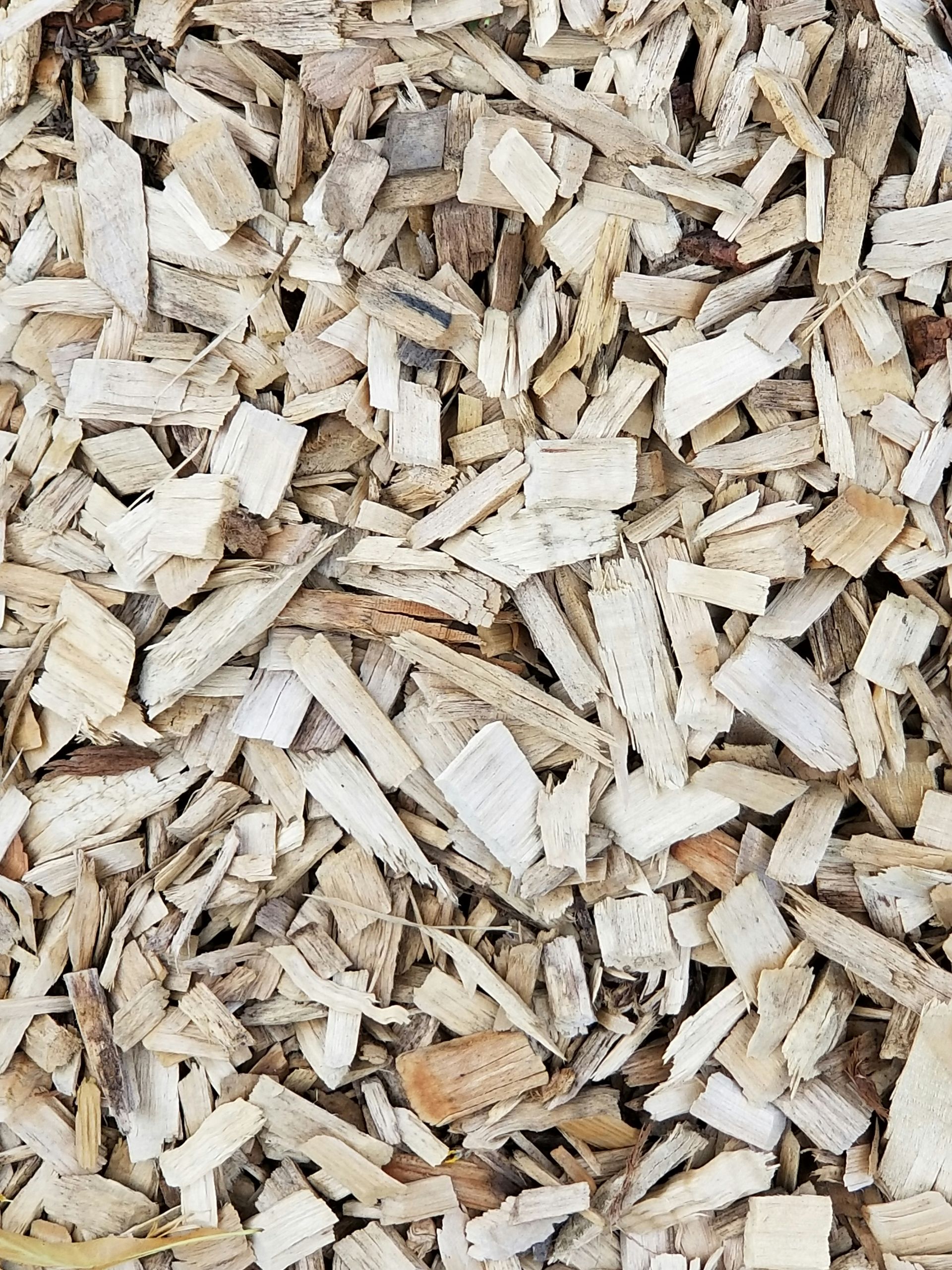 Wood Chips, Varying in Size and Colour From Light Tan to Brown — Bennett's Tree Service in Redhead, NSW