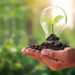 geniale idea ecologica