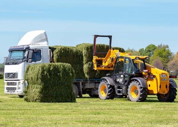 Telehandler Loading a Truck with Fresh Hay — Crane Rentals in Taree, NSW