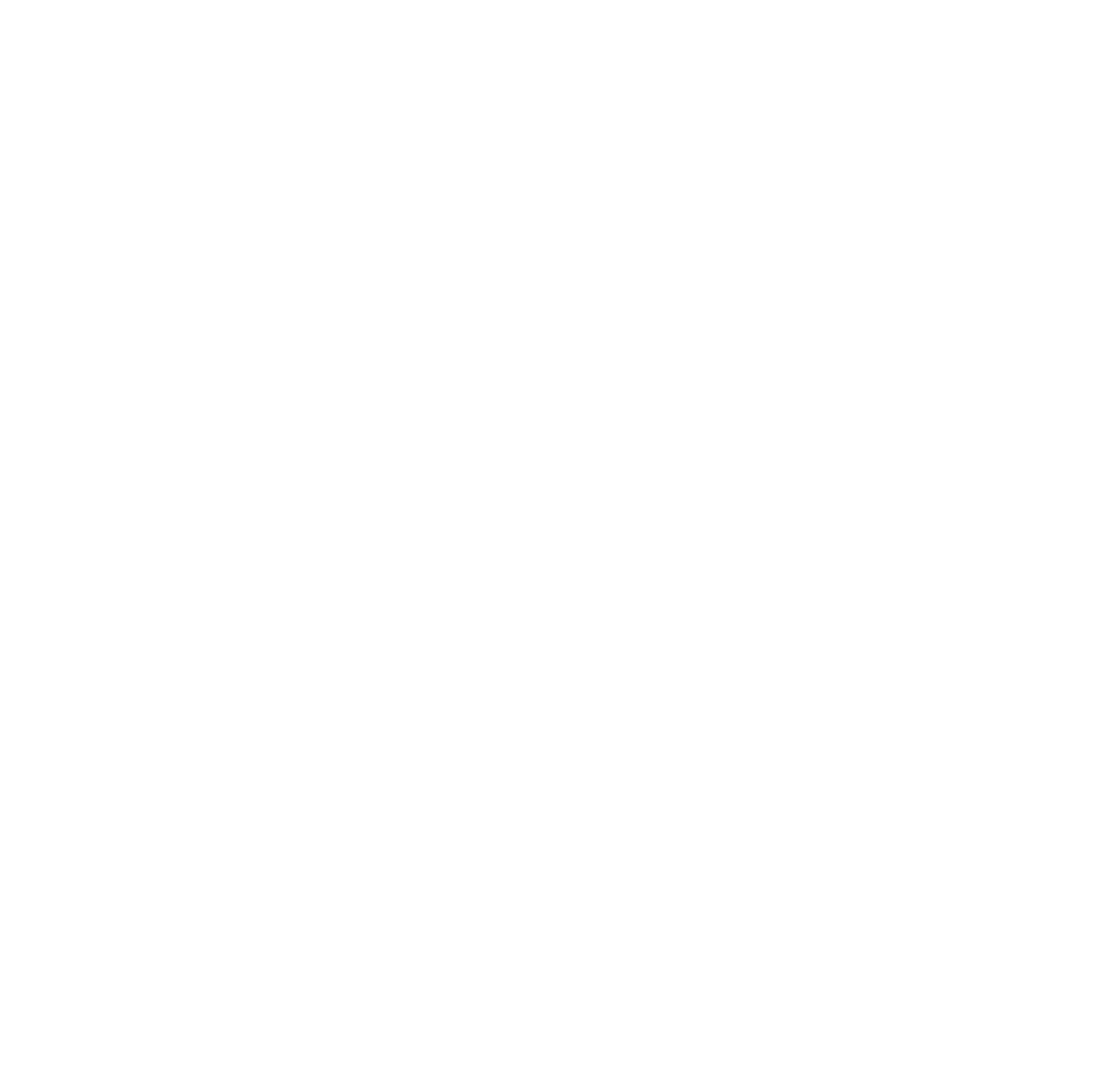 Partner REMO Key