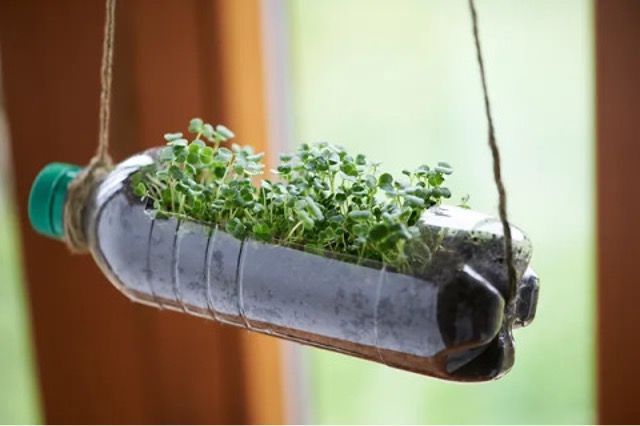 Oud plastic waterfles dat hangt en  door upsycling een nieuw bestaan waar plantjes uit groeien