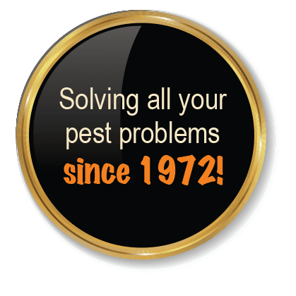 Solving all your pest problems since 1972