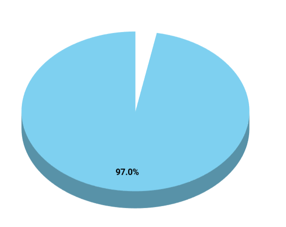 Pie chart showing 97% in light blue and a small gap.