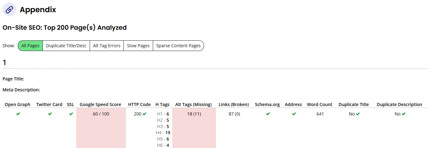 An image of the appendix section of the local search audit.
