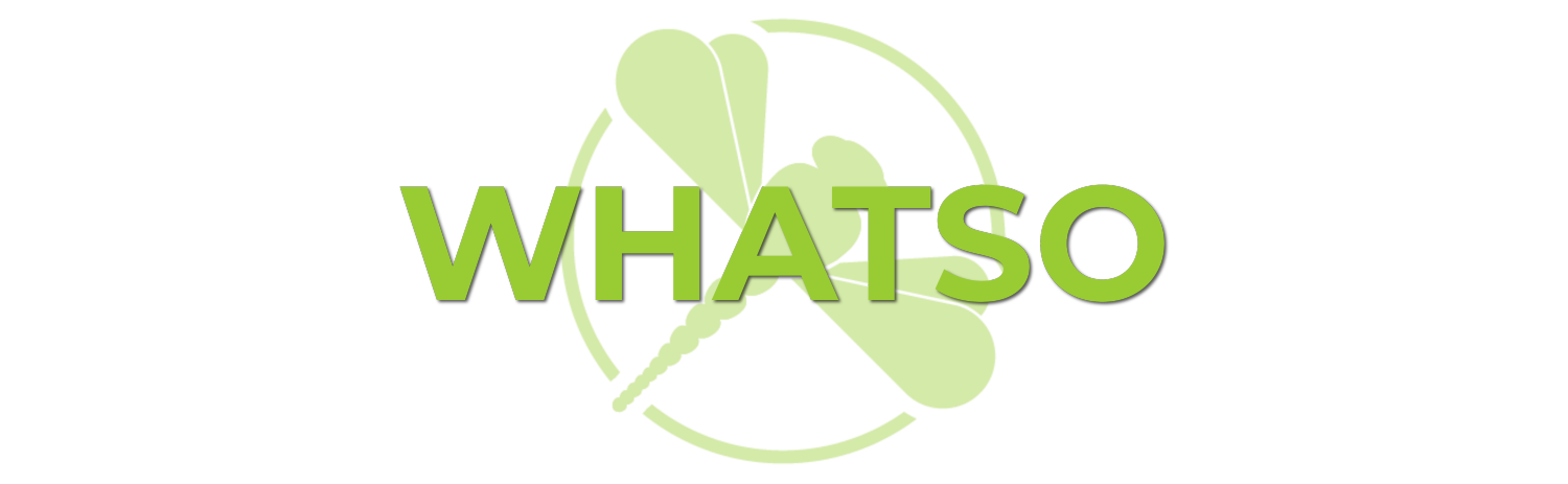 The word whatso is written in green letters on a white background.