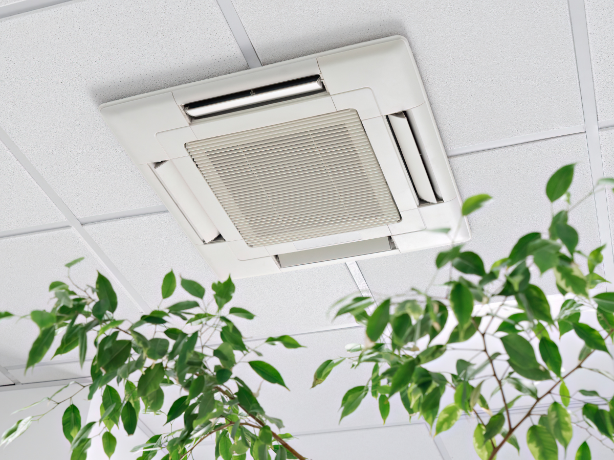 Ceiling-mounted air conditioner in a grid ceiling, with green plants in the foreground.