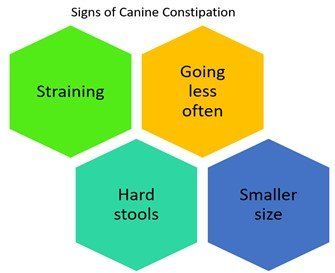 signs-of-canine-constipation-chart
