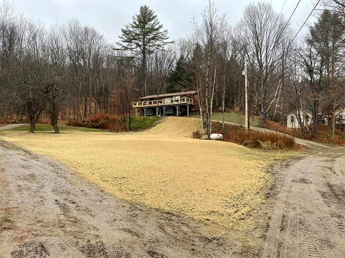 A dirt road leading to a house in the woods.