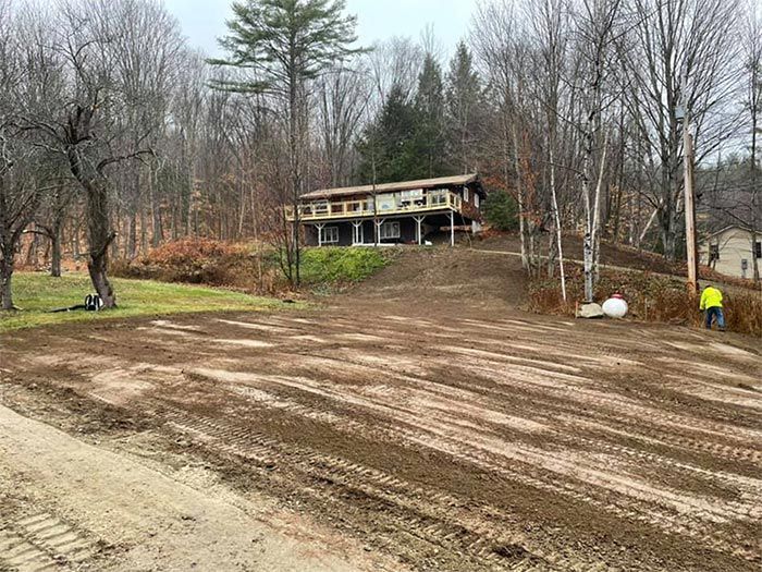 A dirt road leading to a house in the woods.