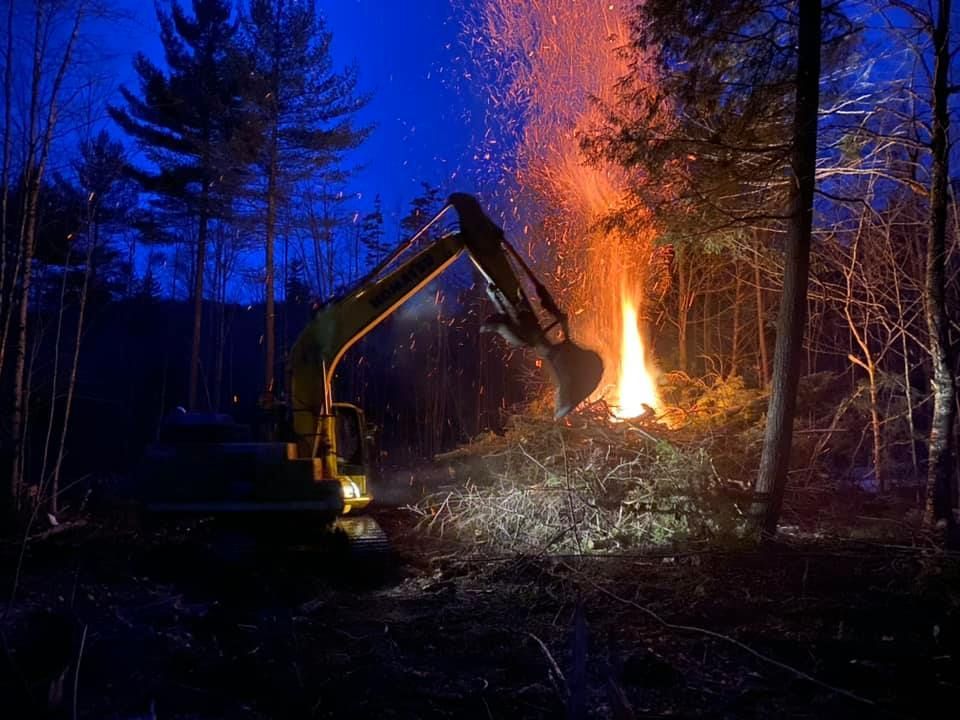 An excavator is digging in the woods at night